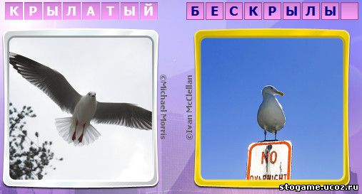 282 уровень антонимы