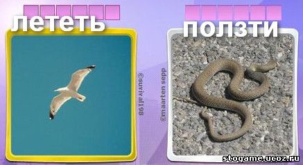 283 уровень антонимы