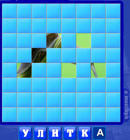 43 уровень словоед, улитка