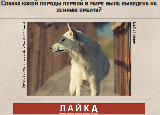 Как убрать подписчика из лайка. Вк лайки накрутка. Тест на серую галочку в лайке ответы. Ответы лайки. Ставьте лайки.