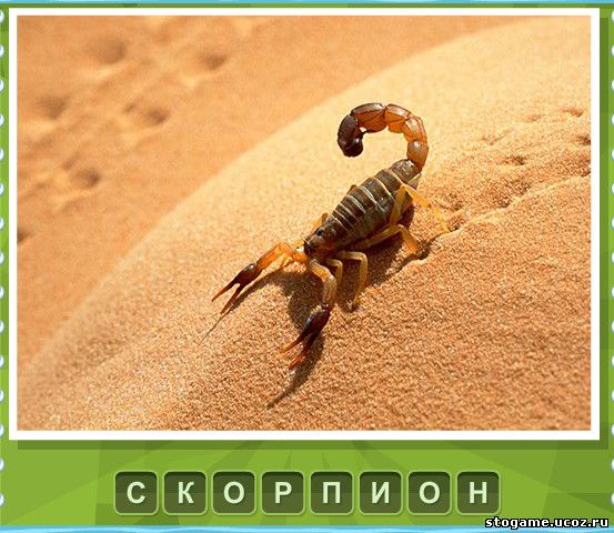 43 уровень что под стикером